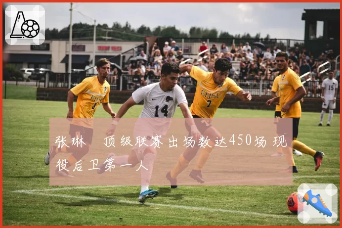 张琳芃顶级联赛出场数达450场 现役后卫第一人
