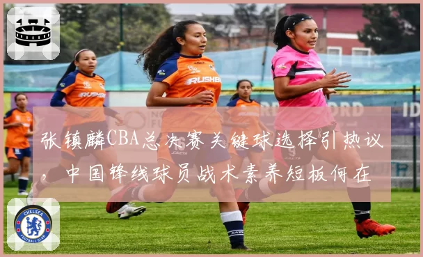 张镇麟CBA总决赛关键球选择引热议，中国锋线球员战术素养短板何在？