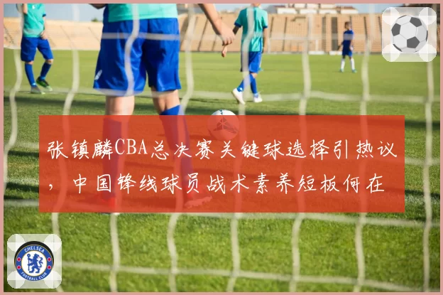 张镇麟CBA总决赛关键球选择引热议，中国锋线球员战术素养短板何在？